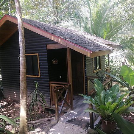 Casa El Colibri Bed & Breakfast ปาร์ริตา ห้อง รูปภาพ